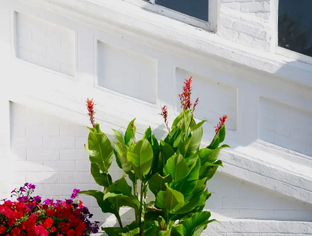 Best Vinyl Siding Color for a White Brick House: Top Choices for Curb Appeal & Value Best Vinyl Siding Color for a White Brick House: Top Choices for Curb Appeal & Value Comparison Table: Top Vinyl Siding Colors for White Brick Houses